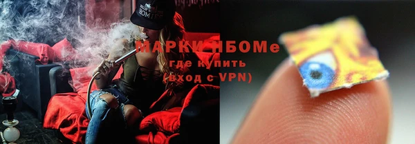 соль ск Инсар