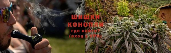 МДПВ Инта