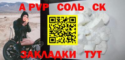 индика Камышлов