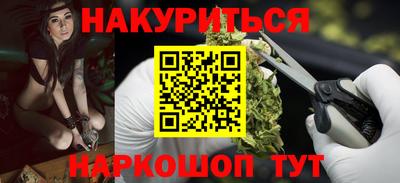 индика Камышлов