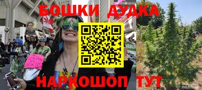 индика Камышлов