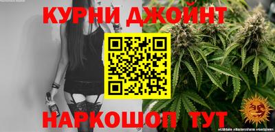индика Камышлов