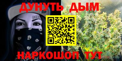 индика Камышлов