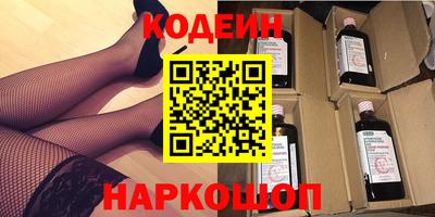 индика Камышлов