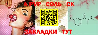 индика Камышлов