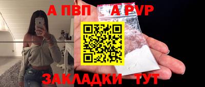 индика Камышлов